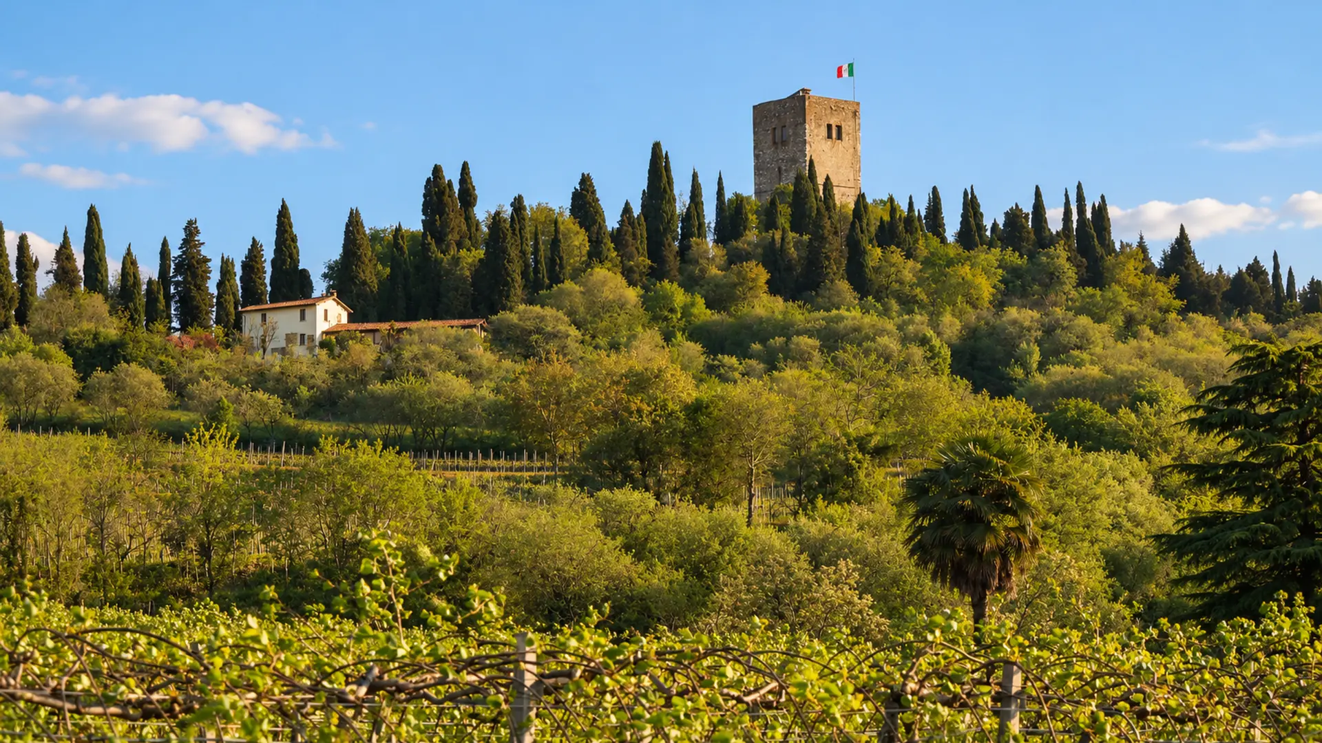 Veduta di una torre medievale su un colle con vigneti a Solferino, area servita dalla web agency per siti web e landing page