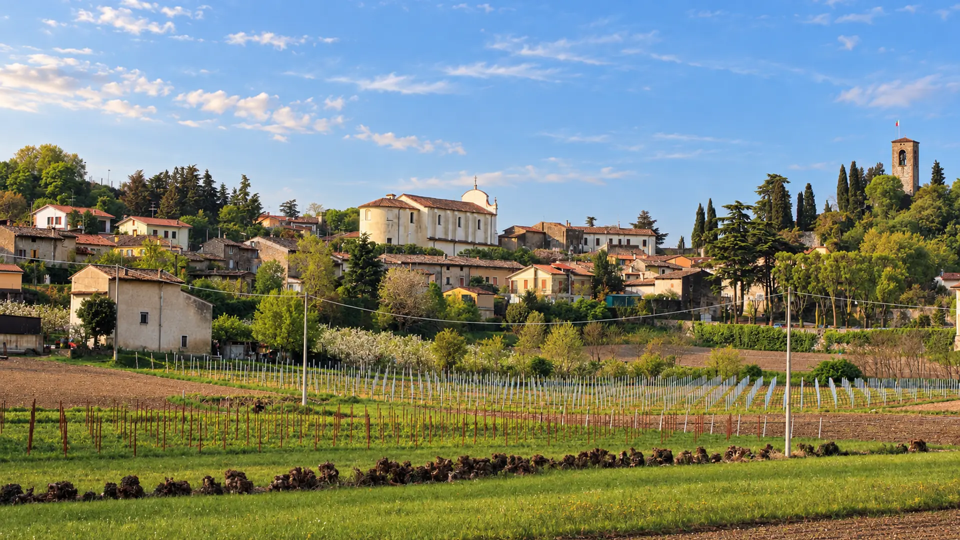 Veduta dei vigneti con il borgo collinare e la chiesa a Cavriana, area servita dalla web agency per siti web e landing page